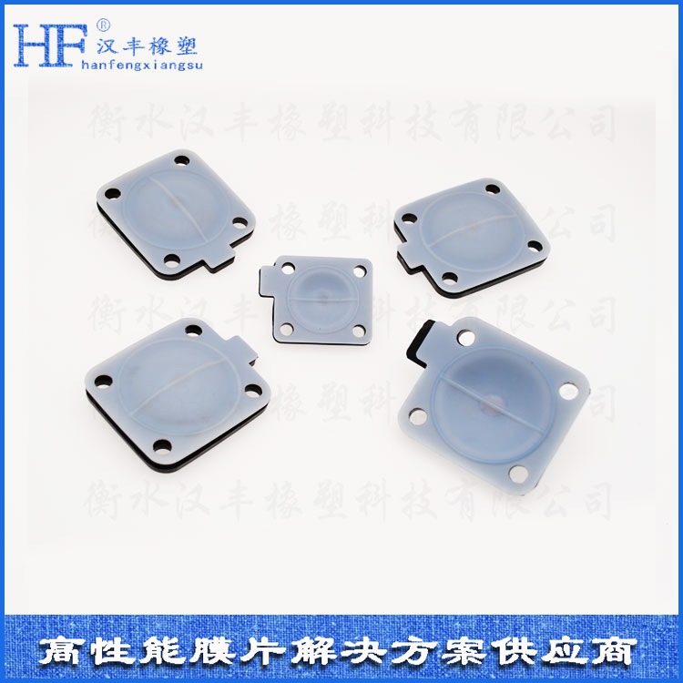 ptfe�ͺ�ĤƬ